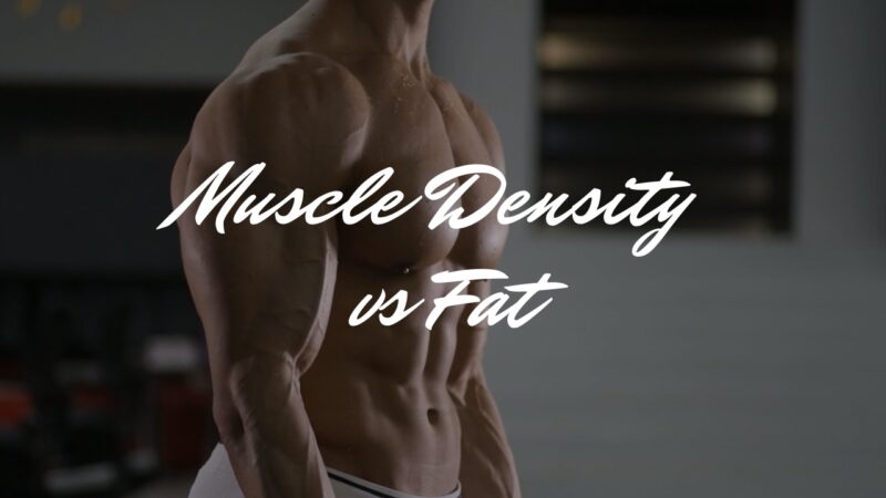 Muscle Density vs Fat - How They Affect Your Weight