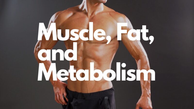 Muscle, Fat, and Metabolism