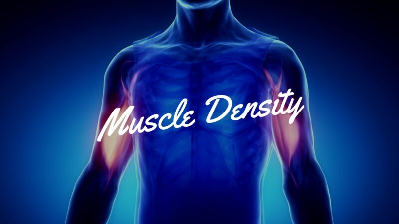 The Difference Between Muscle Density and Fat