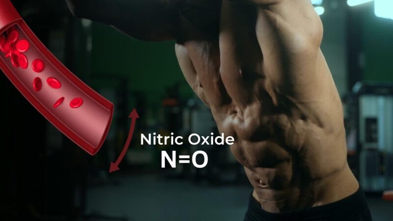 relaxing the smooth muscles - Nitric Oxide