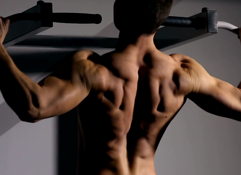 Unparalleled Muscle Activation Pull-Ups 