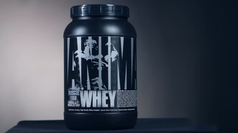 Best Whey Isolate Protein Powder in 2024 - the best way to Gain Maximization